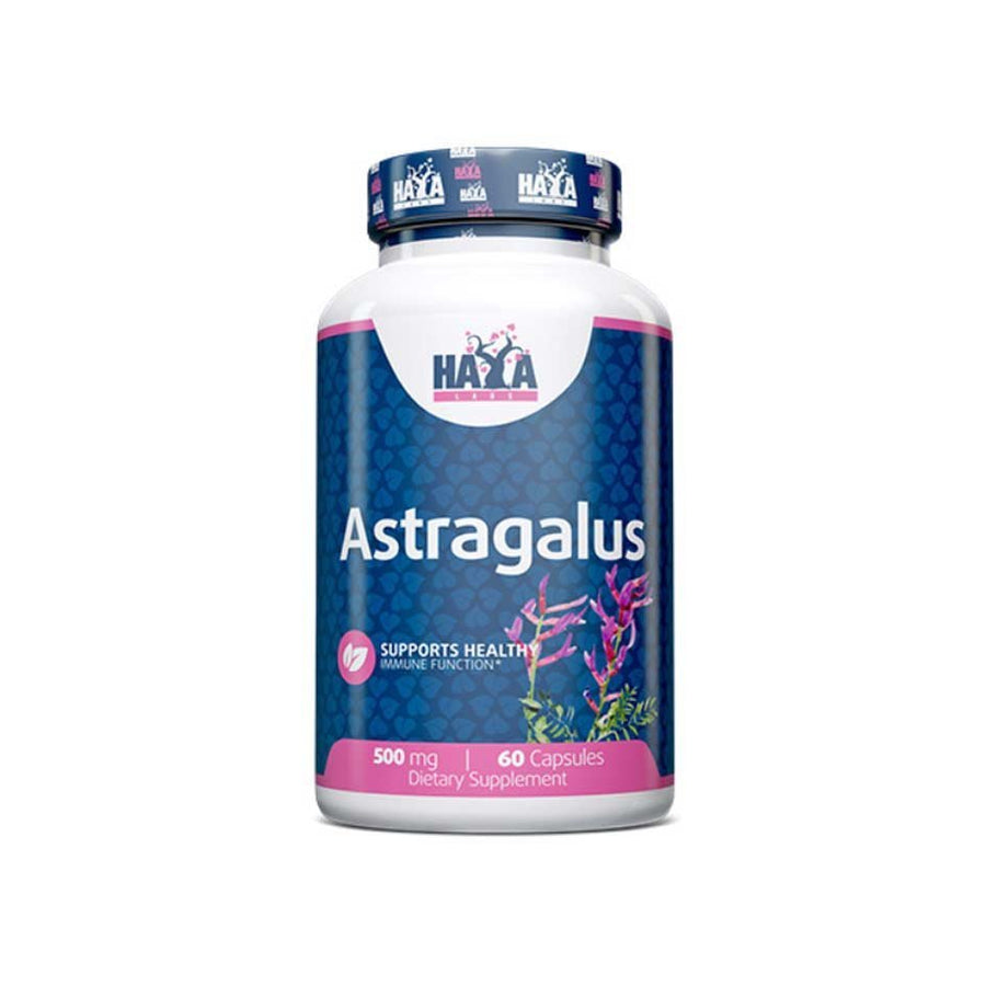 Haya Labs Astragalus 500mg / 60 caps